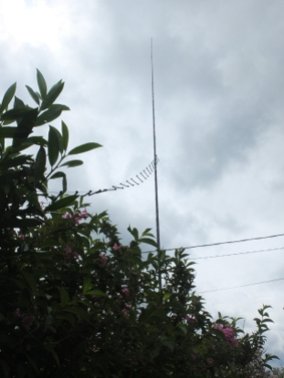 Vertical dipole with ladder line